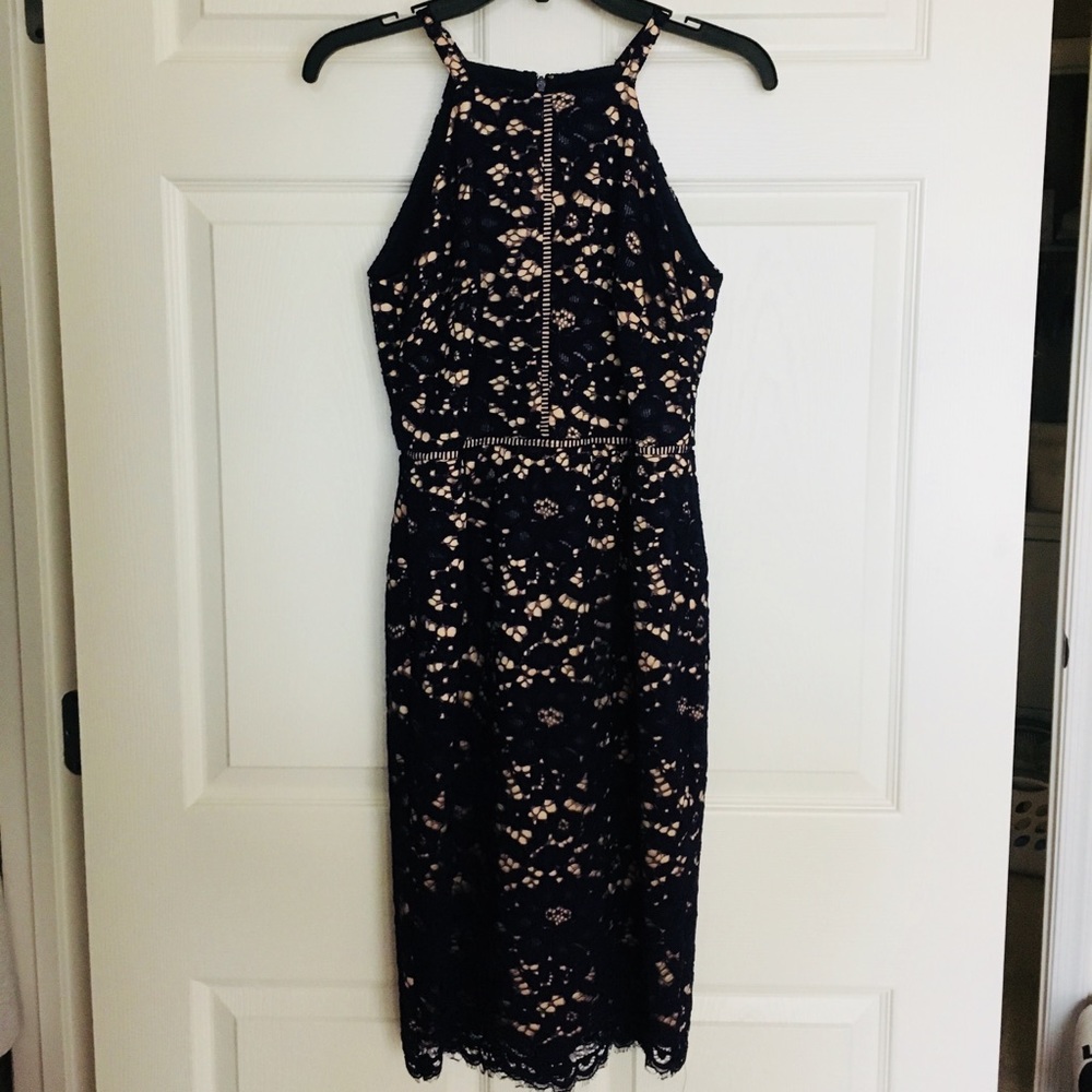 Vince Camuto gorgeous navy lace dress
